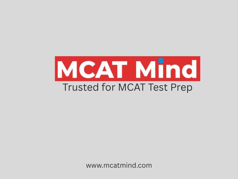 MCAT students learning with expert tutors and AI-powered analytics at MCATmind
